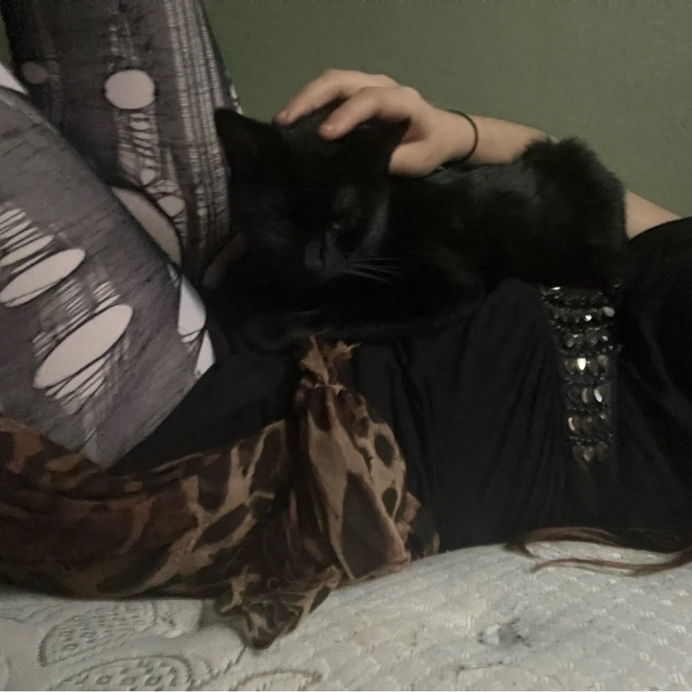 Meet your Posher, Sofia isabelle